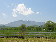 Yachiyo Farm