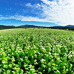 Horokanai tourist information