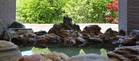 Biratori Hot Spring/Family Land